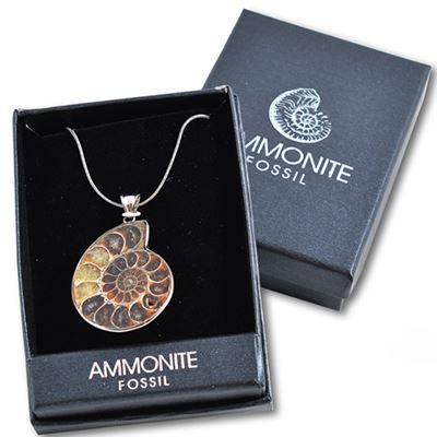 Ammonite Pendant in Gift Box